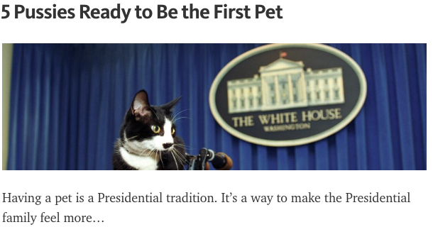 cats white house first pet POTUS