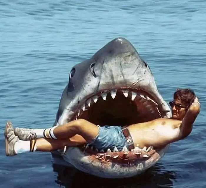 Books like Jaws — 9 deadly beach-town thrillers, shark thriller books cover collage